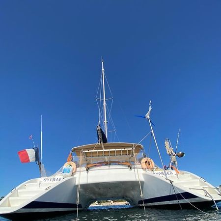 Catamaran Cypraea Hotel Terre-De-Haut Exterior foto