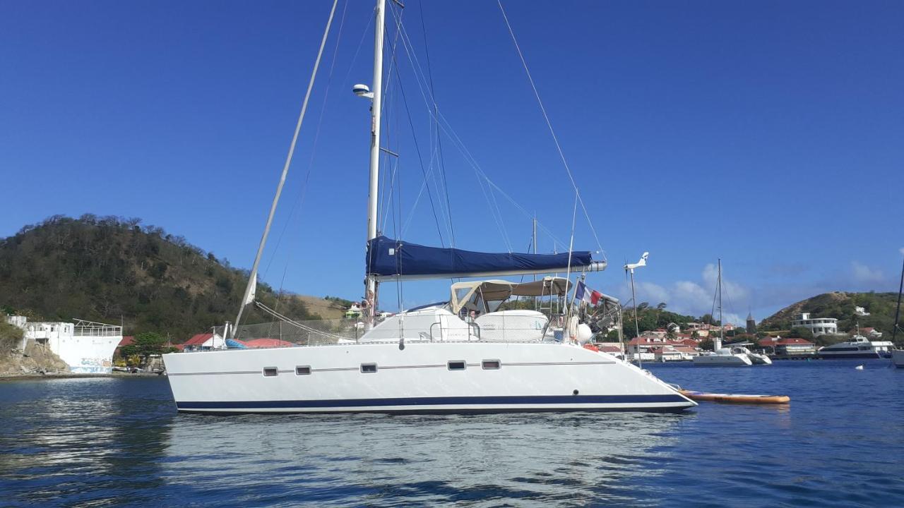 Catamaran Cypraea Hotel Terre-De-Haut Exterior foto
